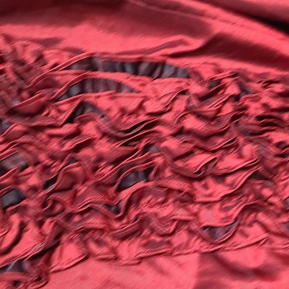 Jessica Howard Womens Special Occasion Dress Reddish Burgandy Ruffly Sz 22W EUC - Picture 3 of 11